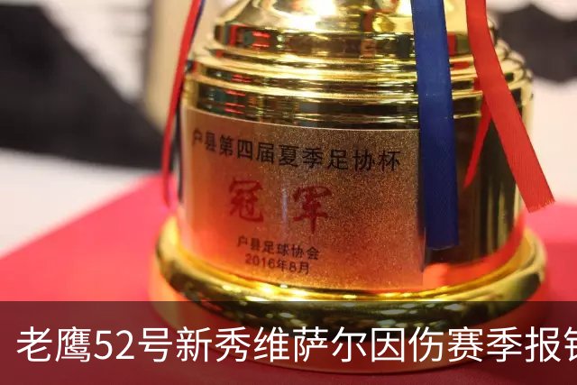 老鹰52号新秀维萨尔因伤赛季报销，前景堪忧